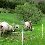 Romantische Ferienhuette Nationalpark Kalkalpen, Sonnig, 2 Schlafzimmer, Wlan Holiday home