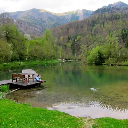 Romantische Ferienhuette Nationalpark Kalkalpen, Sonnig, 2 Schlafzimmer, Wlan * Kleinreifling