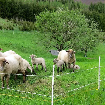 Romantische Ferienhuette Nationalpark Kalkalpen, Sonnig, 2 Schlafzimmer, Wlan Дом отдыха