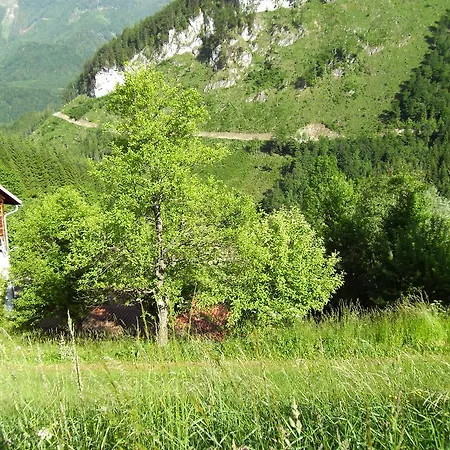 Romantische Ferienhuette Nationalpark Kalkalpen, Sonnig, 2 Schlafzimmer, Wlan بيت للعطل *