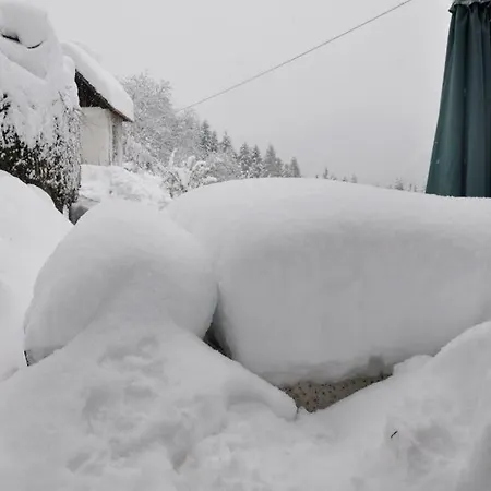 Дом отдыха Romantische Ferienhuette Nationalpark Kalkalpen, Sonnig, 2 Schlafzimmer, Wlan Kleinreifling