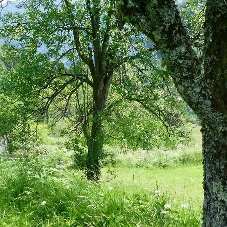 Romantische Ferienhuette Nationalpark Kalkalpen, Sonnig, 2 Schlafzimmer, Wlan Feriehus Kleinreifling