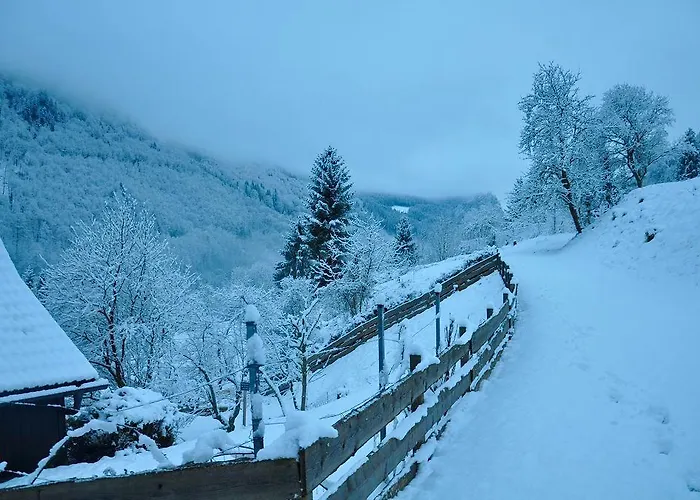 Romantische Ferienhuette Nationalpark Kalkalpen, Sonnig, 2 Schlafzimmer, Wlan Kleinreifling