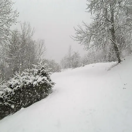 Casa de Férias Romantische Ferienhuette Nationalpark Kalkalpen, Sonnig, 2 Schlafzimmer, Wlan