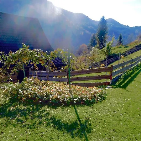 Casa de Férias Romantische Ferienhuette Nationalpark Kalkalpen, Sonnig, 2 Schlafzimmer, Wlan *