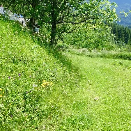 Romantische Ferienhuette Nationalpark Kalkalpen, Sonnig, 2 Schlafzimmer, Wlan Feriehus Kleinreifling