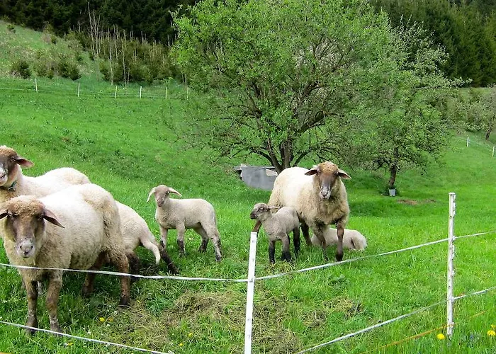 Romantische Ferienhuette Nationalpark Kalkalpen, Sonnig, 2 Schlafzimmer, Wlan Feriehus